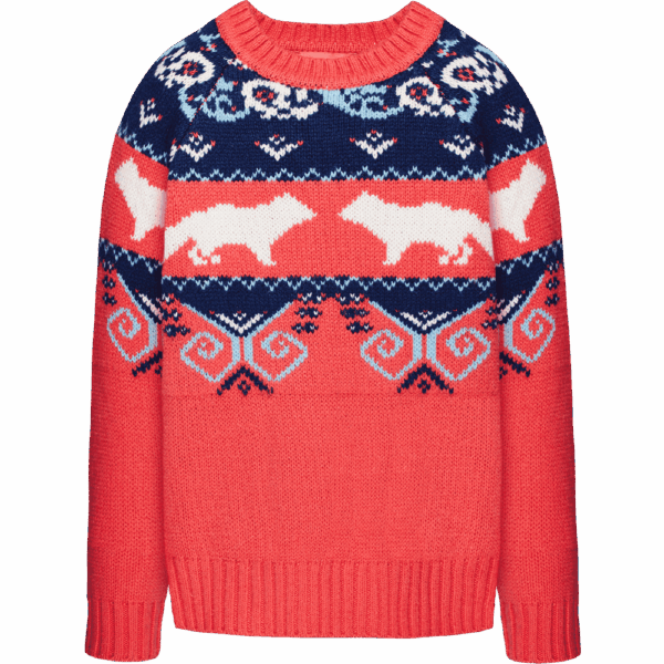 Sweater Colorful