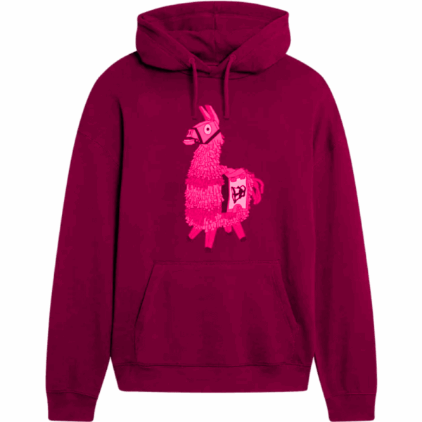 Winter Hoodies - immagine 3